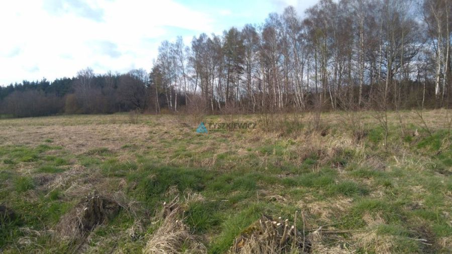 Działki z potencjałem pod zabudowę – Machowino: zdjęcie 98705719