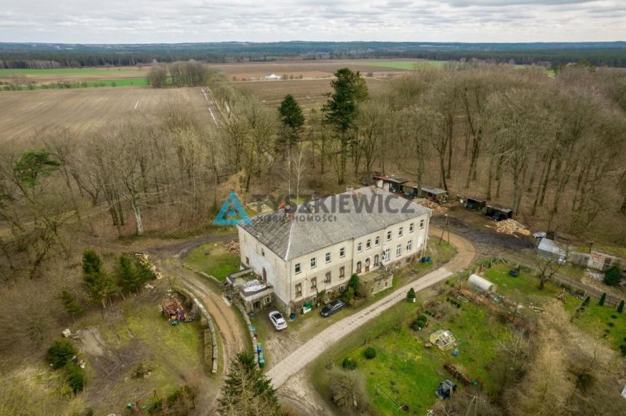 Mieszkanie w pałacu w Jerzkowicach: zdjęcie 98706281