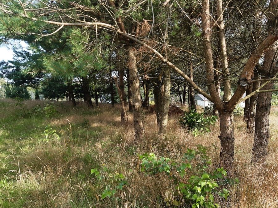 Działka na jeziorem Kamień 17 km od Obwodnicy Trójmiasta: zdjęcie 98715868