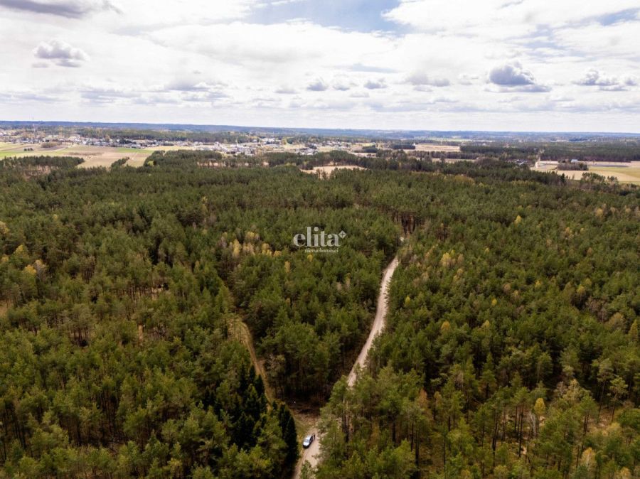 Las na sprzedaż 3,5 ha - gmina Linia: zdjęcie 98717707