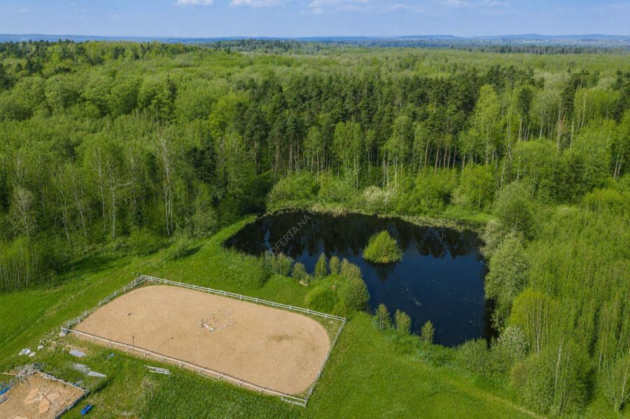 1,65 HA | Staw | Konie | Potencjał inwestycyjny |