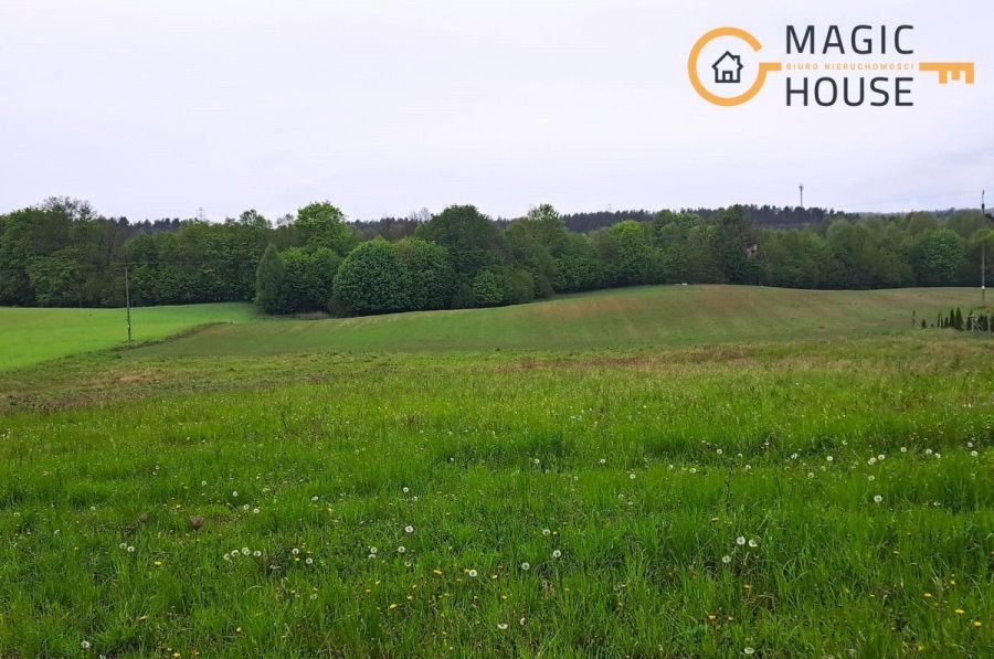Działki budowlane Ełganowo | 30 min od Gdańska: zdjęcie 98721798
