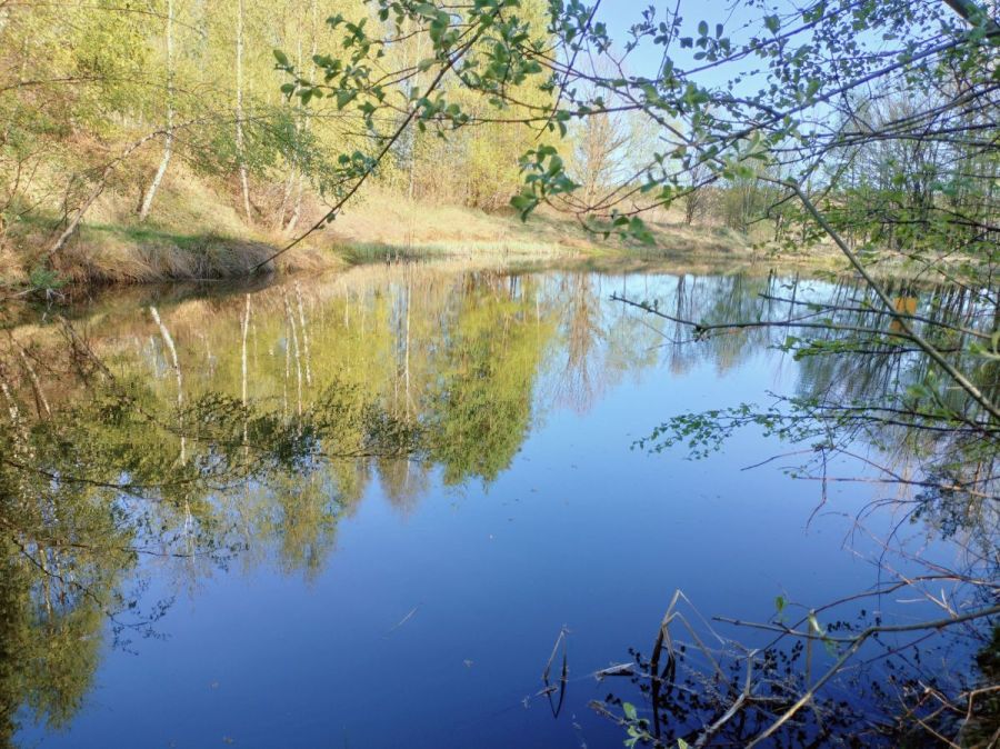Wyjątkowa działka na skraju natury (2)