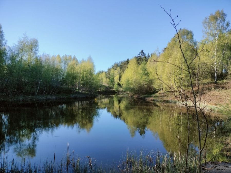 Wyjątkowa działka na skraju natury (1): zdjęcie 98720624