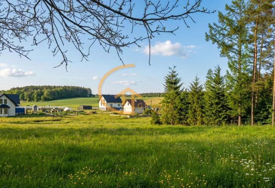 Przetoczyno - działki budowlane przy lesie: zdjęcie 98723035