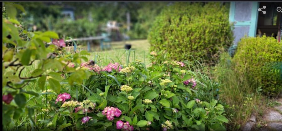 Sprzedam działkę rekreacyjną: zdjecie 98725528