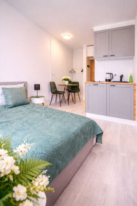 Sea Breeze Gdynia - 10 min plaża Netflix: zdjęcie 98725842
