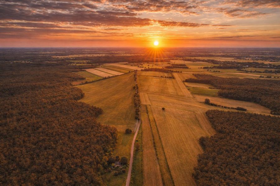 Investment, Recreational Land for Sale | Prime Loc: zdjęcie 98730046