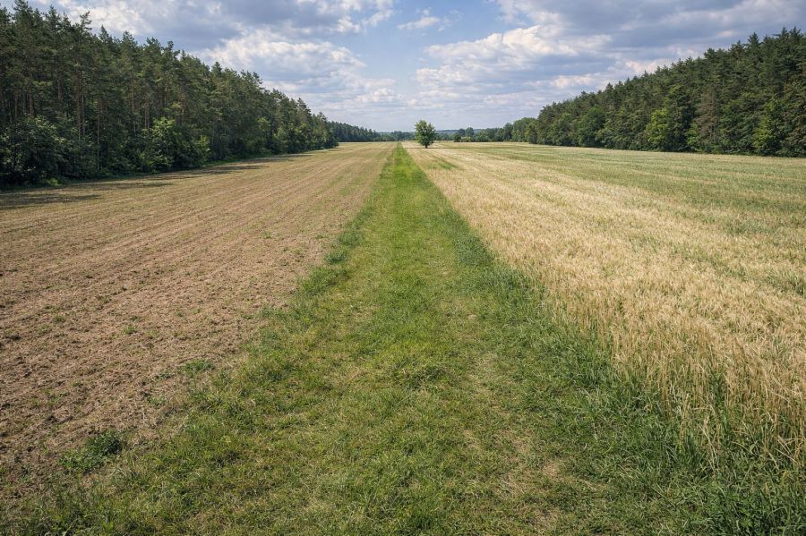 Investment, Recreational Land for Sale | Prime Loc: zdjęcie 98730048