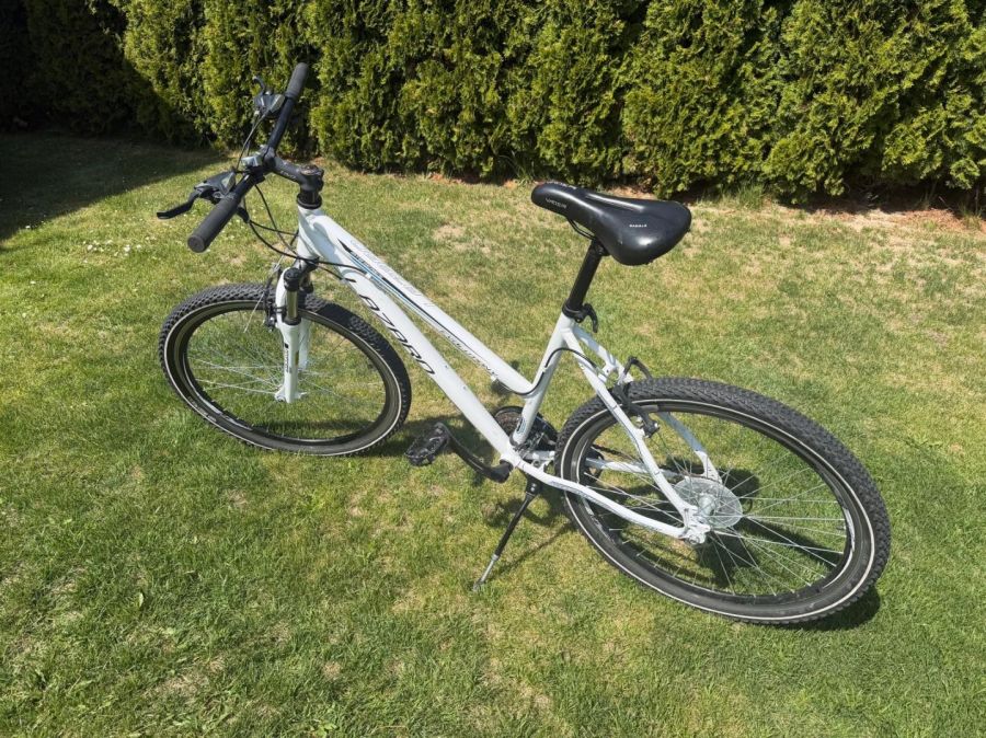 Rower Lazaro Evolution 26 Shimano Altus damski: zdjęcie 98732074