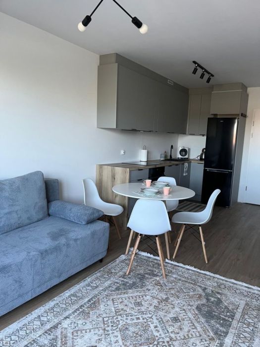 Nowe mieszkanie do wynajęcia na okres długoterminowy!!!: zdjęcie 98735821