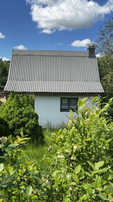 Działka ROD z klimatycznym domkiem i ogrodem