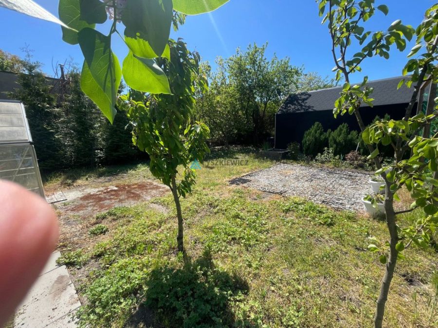 Zadbany ROD w Sopocie|368 m&sup2;|Domek + taras: zdjecie 98746149