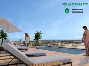 Apartament z basenem na dachu – Catral: zdjecie 66438037