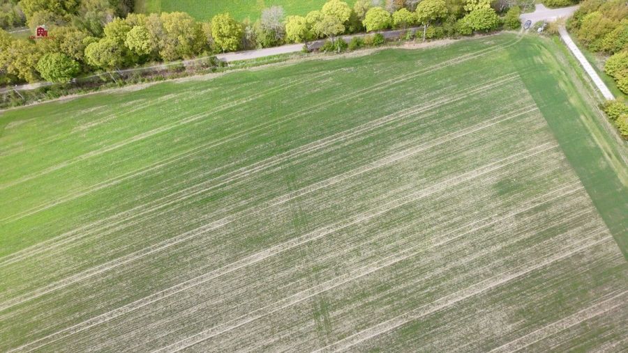 Działki pod dom po 3000m2-7 min od Łeby| MPZP: zdjęcie 98762140
