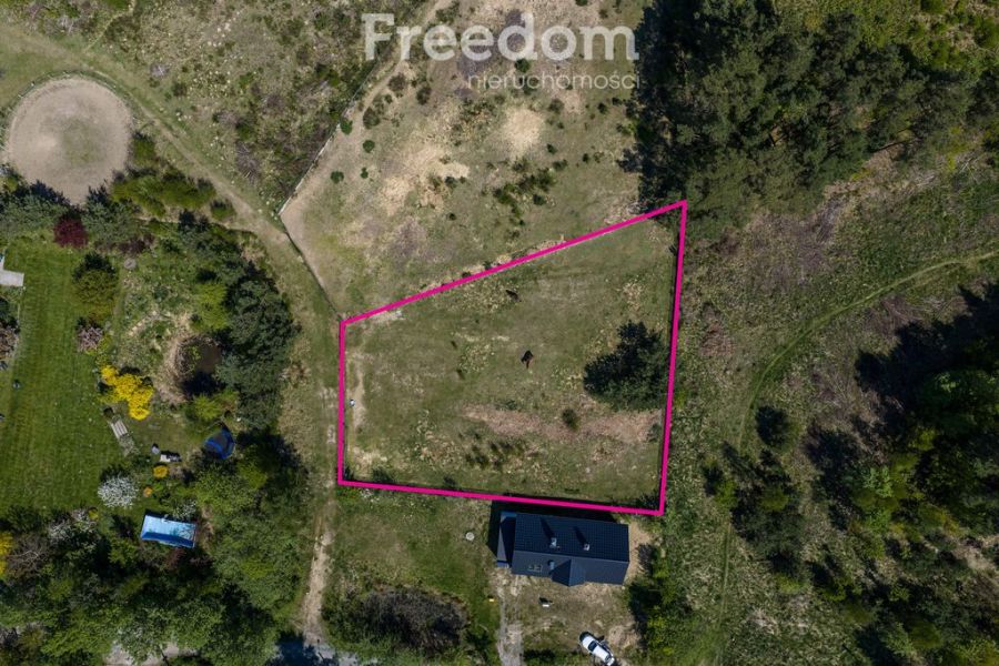 płaska | zabudowa jednorodzinna rezydencjalna: zdjecie 98750599