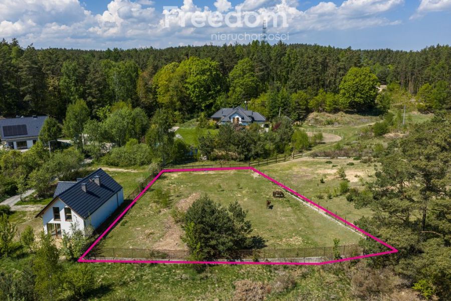 płaska | zabudowa jednorodzinna rezydencjalna: zdjecie 98750600