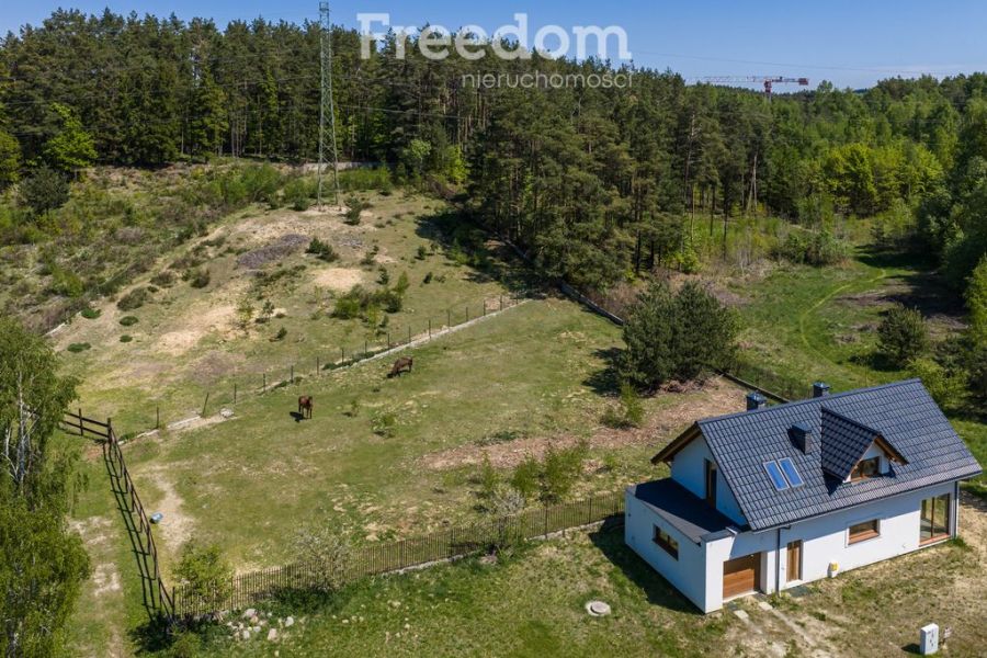 płaska | zabudowa jednorodzinna rezydencjalna: zdjecie 98750601