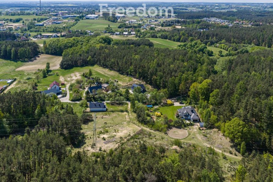 płaska | zabudowa jednorodzinna rezydencjalna: zdjecie 98750603