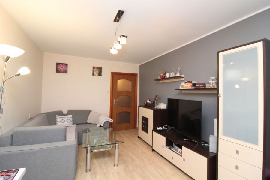 2 pokojowe mieszkanie od 1 grudnia: zdjęcie 98754780