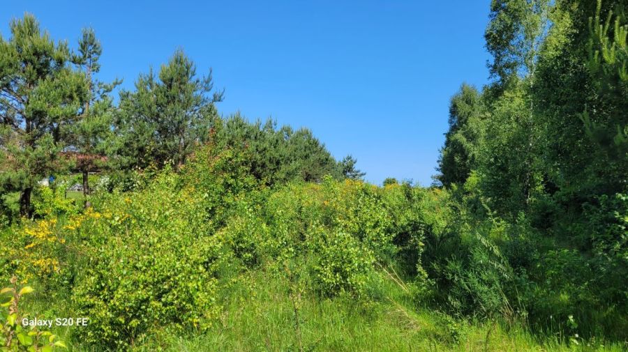 Działka mieszkalno-usługowa 3175m2 w Gościcinie: zdjęcie 98755522