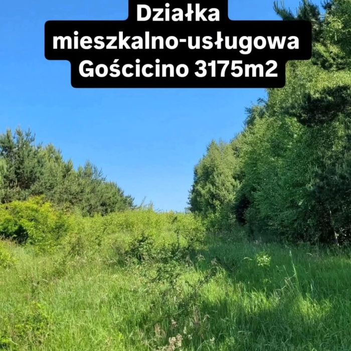 Działka mieszkalno-usługowa 3175m2 w Gościcinie: zdjęcie 98755974