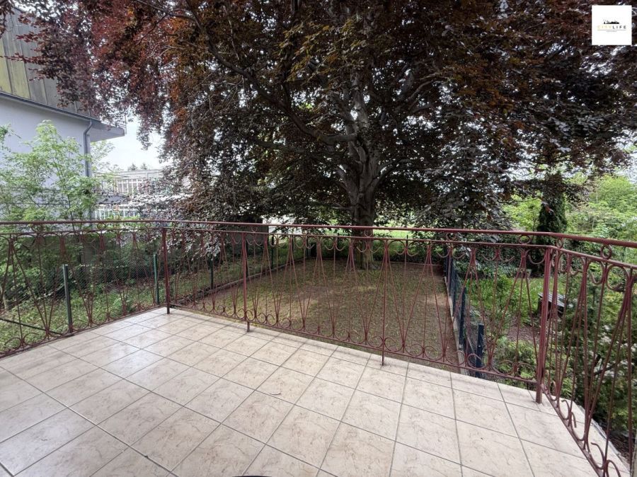 Biały Kruk na Przymorzu Małym: zdjęcie 98759247