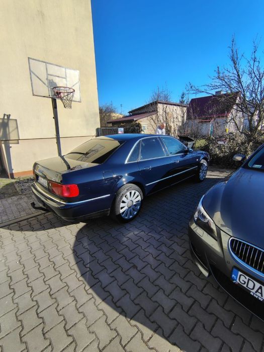 Audi A8 D2 V8 Quatrro 2000r: zdjęcie 98759697