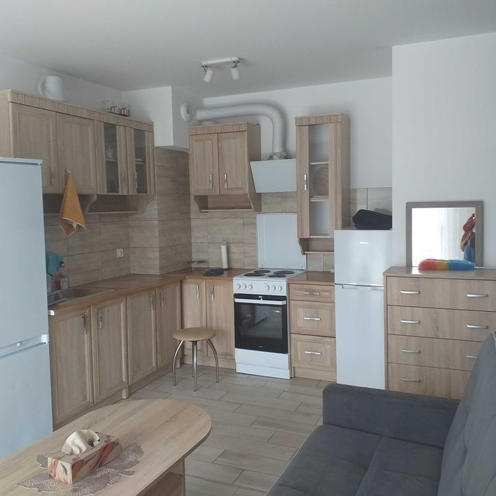 Mieszkanie do wynajęcia w super cenie i lokalizacji.: zdjęcie 98760554