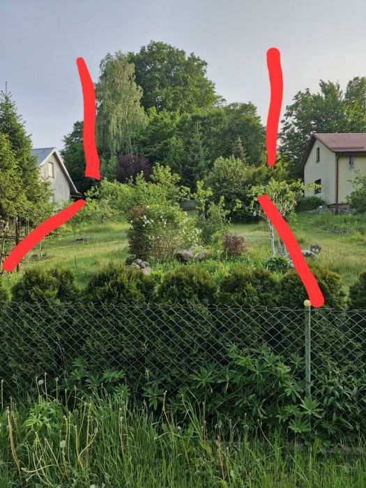 Sprzedam działka ROD: zdjęcie 98766241