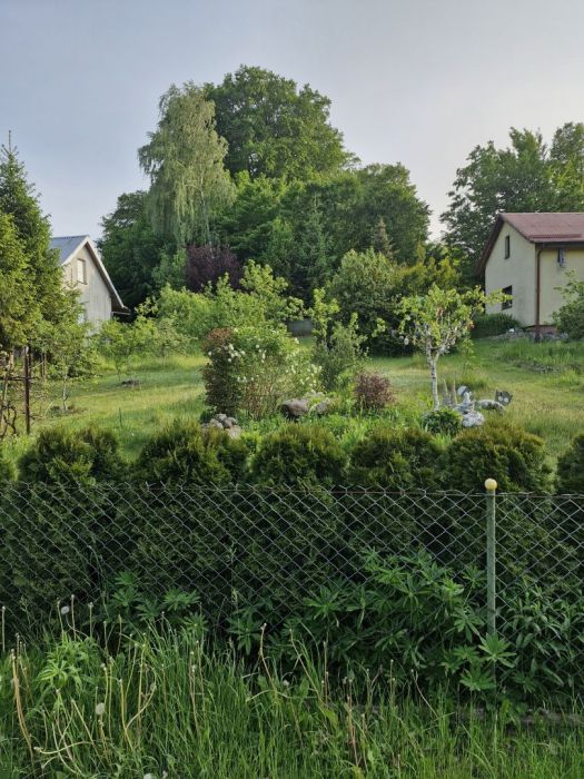 Sprzedam działka ROD: zdjęcie 98766242