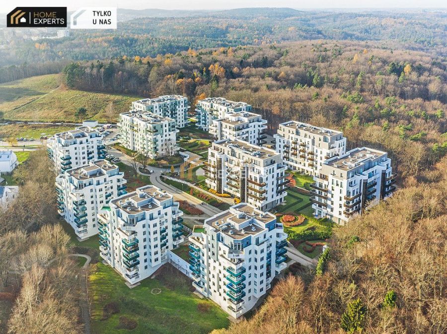 Okno na zieleń: zdjęcie 98767765