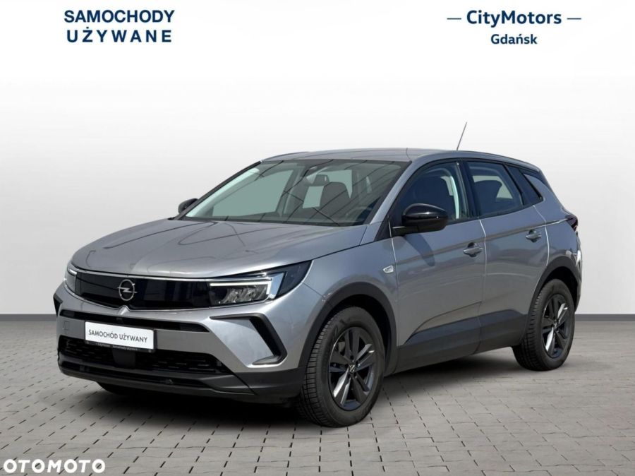 Opel Grandland X: zdjęcie 98768619