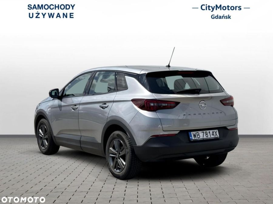 Opel Grandland X: zdjęcie 98768620