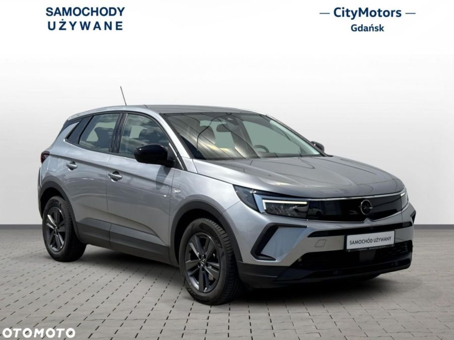 Opel Grandland X: zdjęcie 98768621
