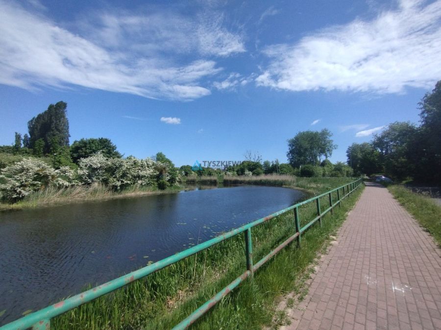 Działka ROD nad Motławą | kajaki i rowery: zdjecie 98768983
