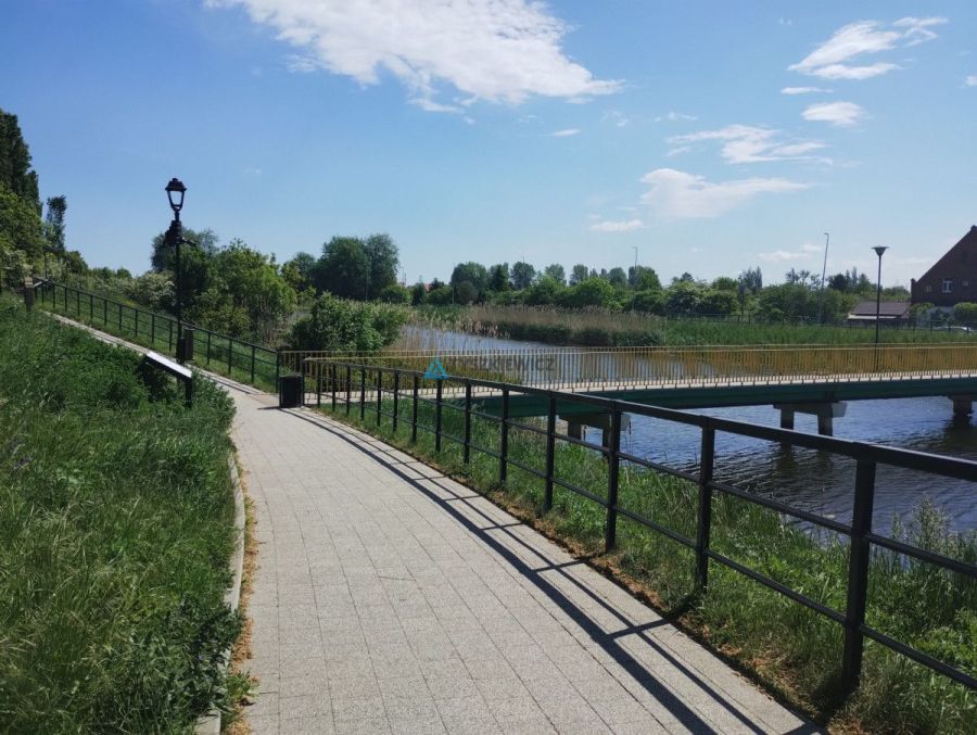 Działka ROD nad Motławą | kajaki i rowery: zdjecie 98768984