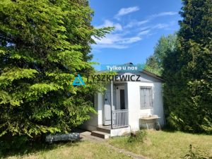 Działka ROD nad Motławą | kajaki i rowery: zdjecie 66441507