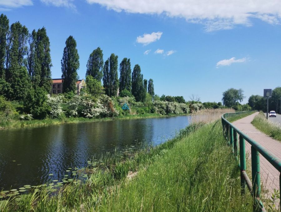 Działka ROD nad Motławą | kajaki i rowery: zdjecie 98768979