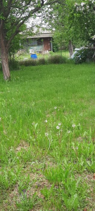 Działka ROD Tęcza Gdańsk Olszynka: zdjęcie 98770284