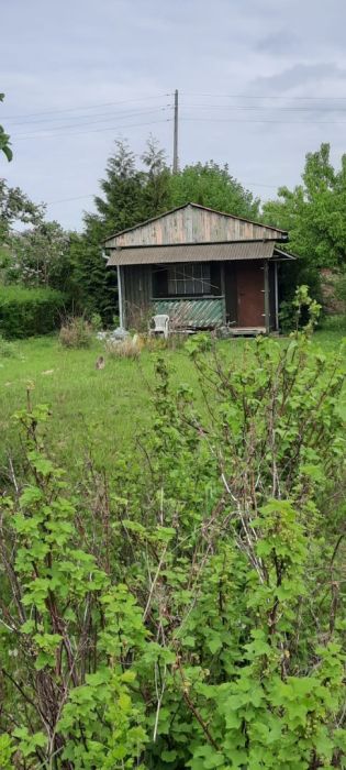 Działka ROD Tęcza Gdańsk Olszynka: zdjęcie 98770286