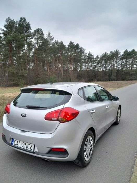 Kia Ceed II - 2014; 1.4 zadbany, bez wkładu: zdjęcie 98771573
