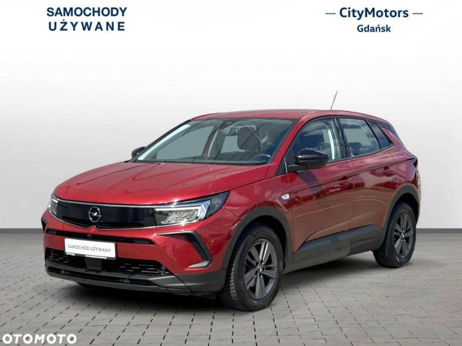 Opel Grandland X Business Edition 1.2 Turbo 130 KM AT8 Automat 2022: zdjęcie 98773043