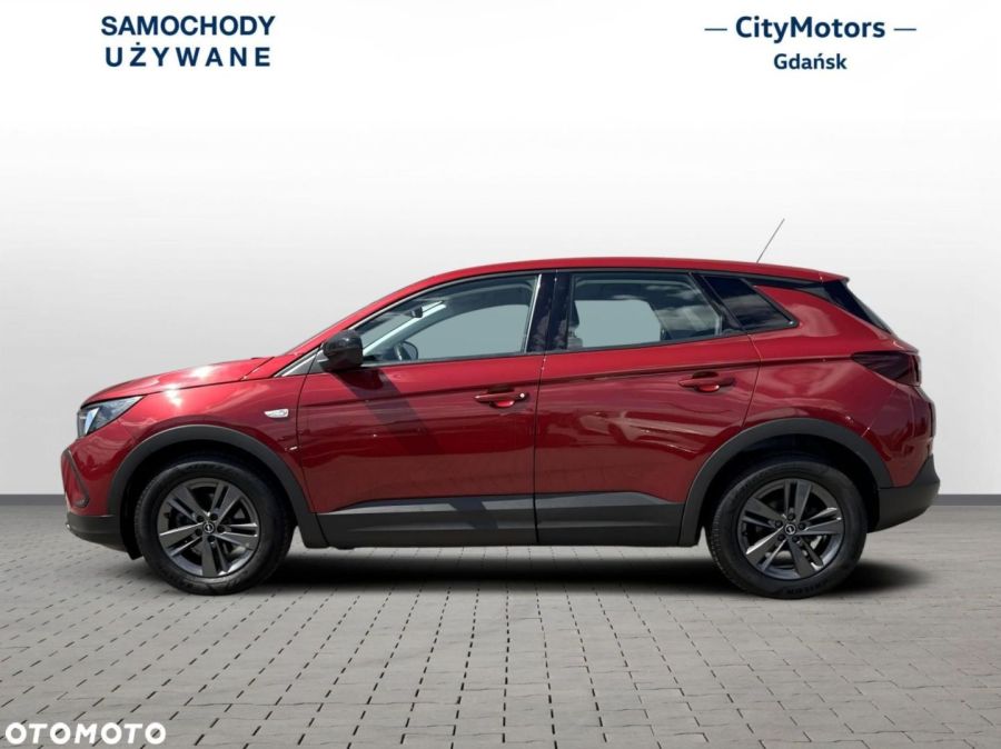 Opel Grandland X Business Edition 1.2 Turbo 130 KM AT8 Automat 2022: zdjęcie 98773044