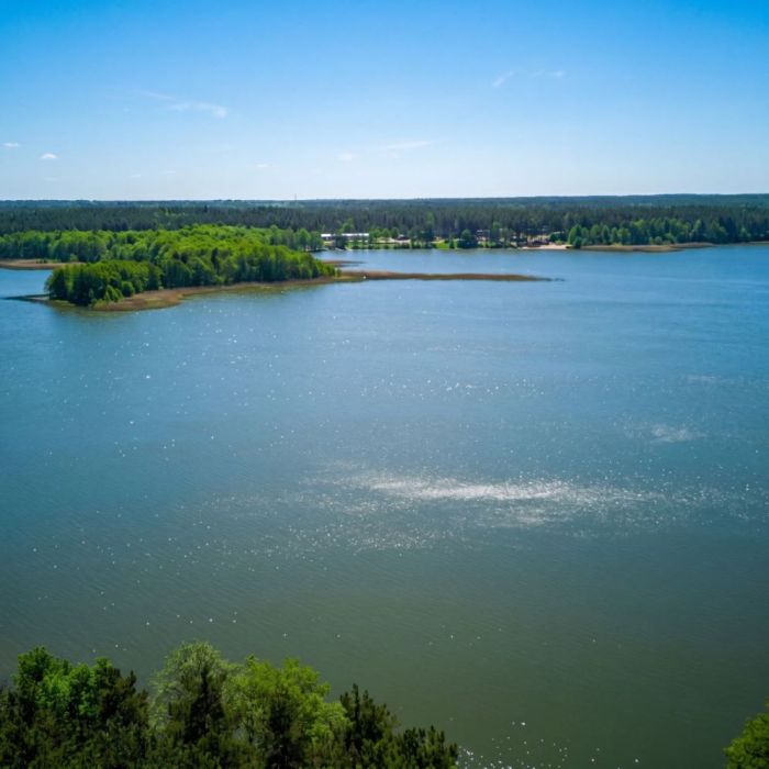 Leśny Azyl nad Jeziorem Sudomie: zdjęcie 98775976