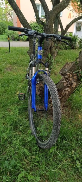 Rower TREK niebiesko srebrny 26 cali: zdjecie 98778054