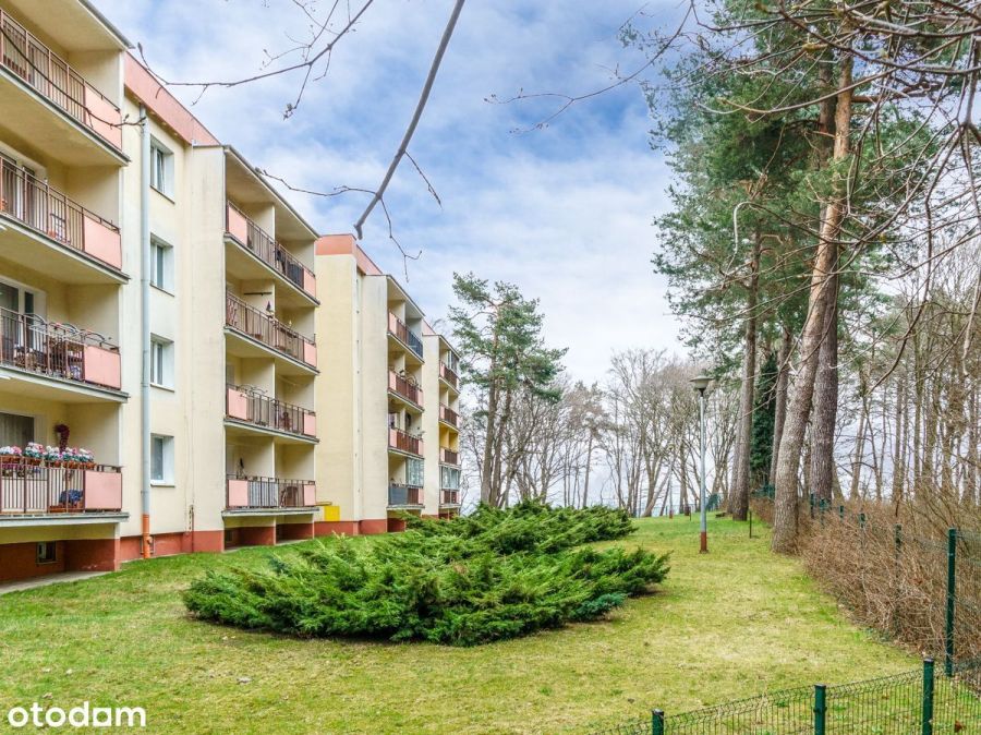 Piękne 3 pokoje nad morzem przy lesie ogród loggia: zdjecie 98780762