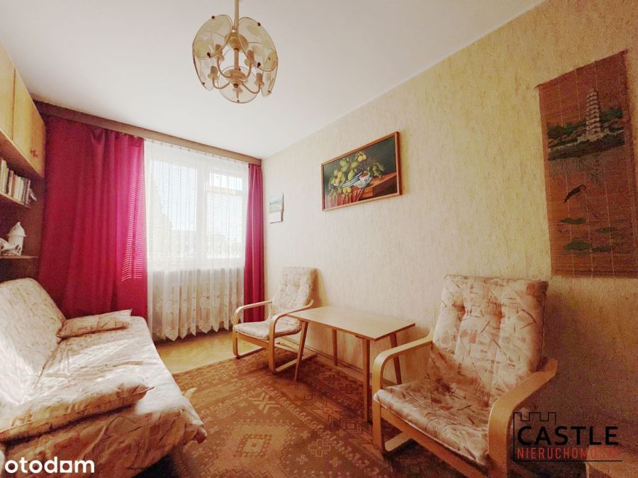 Piękny ogród i wygodny dom w świetnej lokalizacji!: zdjecie 98782149