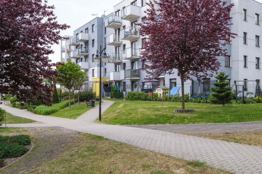Narożne 3 pokoje z ogrodem - Lawendowe Wzgórze: zdjecie 98784177