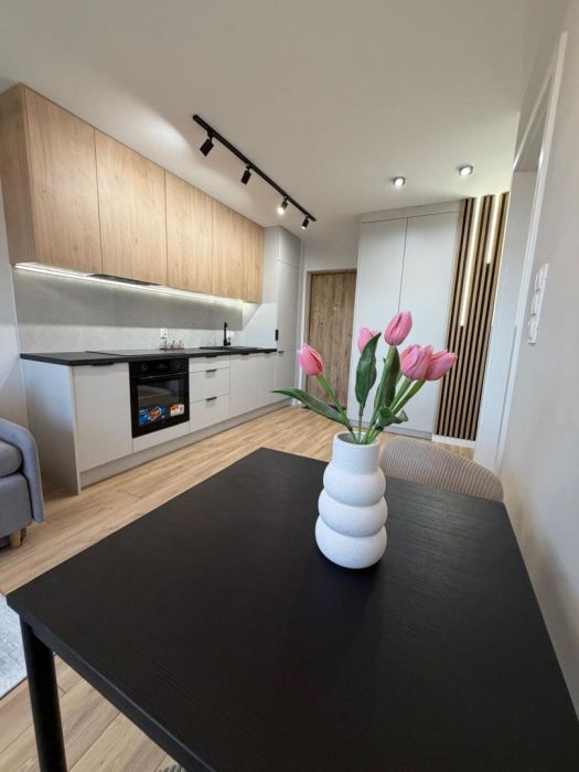 Nowoczesne 2 pokoje po remoncie | 31 m² | Żabianka/Jelitkowo: zdjęcie 98784641